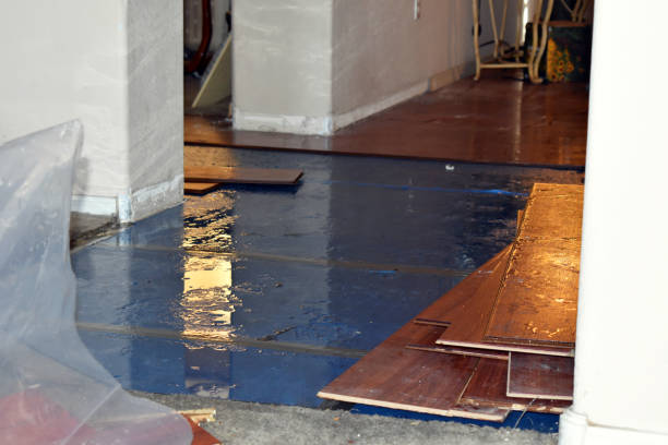 Professional Burst Pipe Cleanup technician working in Lytle, TX